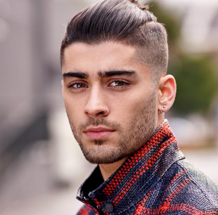 Zayn Malik Net Worth Wealth And